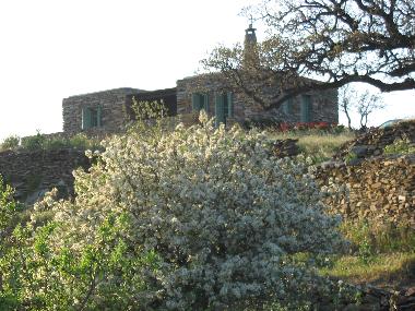 Maison de vacances /en/au Kea (Kyklades)ou appartement ou maison de vacances