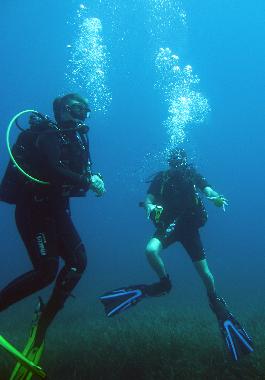 Appartement de vacances /en/au SARONIDA (Attiki)ou appartement ou maison de vacances