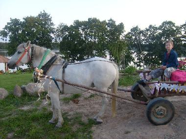 Maison de vacances �/en/au Linkmenys (Utenos Apskritis)ou appartement ou maison de vacances