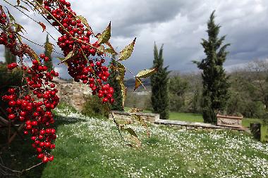 Maison de vacances /en/au San Pancrazio (Firenze)ou appartement ou maison de vacances