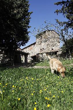 Maison de vacances /en/au San Pancrazio (Firenze)ou appartement ou maison de vacances