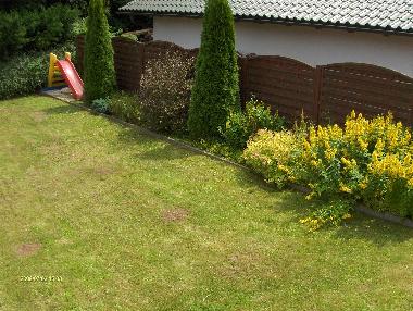 Maison de vacances /en/au Zorge (Harz)ou appartement ou maison de vacances
