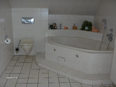Maison de vacances /en/au Zorge (Harz)ou appartement ou maison de vacances