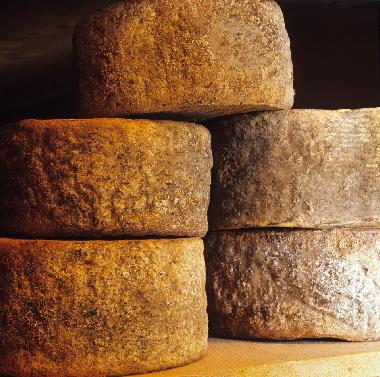 Appartement de vacances �/en/au San Pancrazio (Firenze)ou appartement ou maison de vacances