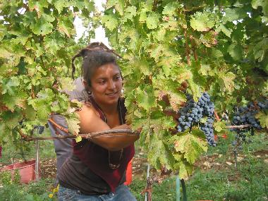 Appartement de vacances �/en/au San Pancrazio (Firenze)ou appartement ou maison de vacances