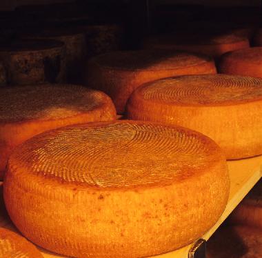 Appartement de vacances �/en/au San Pancrazio (Firenze)ou appartement ou maison de vacances