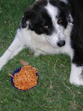 Appartement de vacances �/en/au San Pancrazio (Firenze)ou appartement ou maison de vacances