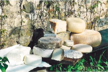 Maison de vacances /en/au San Pancrazio (Firenze)ou appartement ou maison de vacances