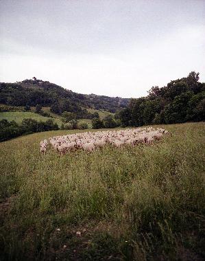 Appartement de vacances �/en/au San Pancrazio (Firenze)ou appartement ou maison de vacances