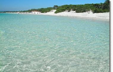 Appartement de vacances /en/au Alghero (Sassari)ou appartement ou maison de vacances