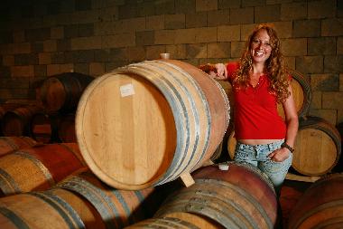 Appartement de vacances /en/au San Pancrazio  (Firenze)ou appartement ou maison de vacances