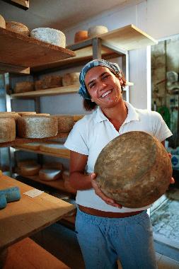 Appartement de vacances /en/au San Pancrazio  (Firenze)ou appartement ou maison de vacances