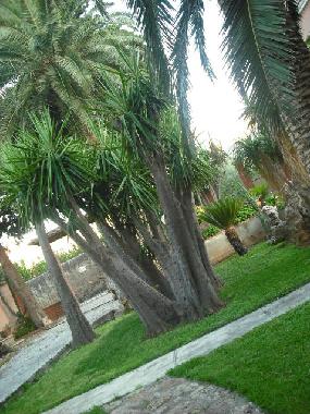 Maison de vacances �/en/au Carini (Palermo)ou appartement ou maison de vacances