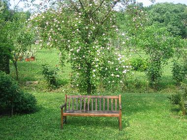 Appartement de vacances /en/au arqu petrarca (Padova)ou appartement ou maison de vacances