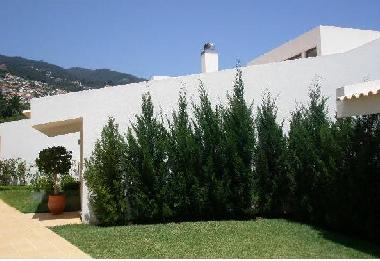 Chambre avec petit djeuner /en/au Funchal (Madeira)ou appartement ou maison de vacances