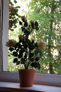 Appartement de vacances /en/au Berlin (Prenzlauer Berg)ou appartement ou maison de vacances