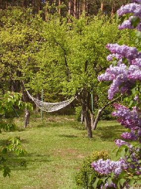 Maison de vacances /en/au Pobłocie (Pomorskie)ou appartement ou maison de vacances