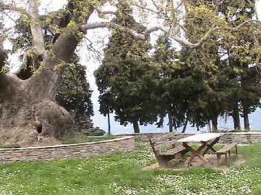 Maison de vacances /en/au Ambelakia (Larisa)ou appartement ou maison de vacances