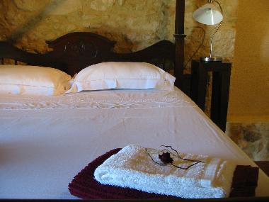 Appartement de vacances �/en/au Mourvilles-Hautes (Haute-Garonne)ou appartement ou maison de vacances