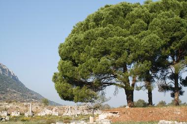 Maison de vacances /en/au Akyaka - Gkova (Mugla)ou appartement ou maison de vacances