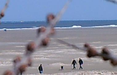 Appartement de vacances /en/au Borkum (Ostfriesische Inseln)ou appartement ou maison de vacances