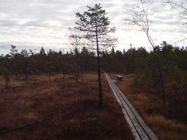 Maison de vacances �/en/au Elsabo (Smaland)ou appartement ou maison de vacances