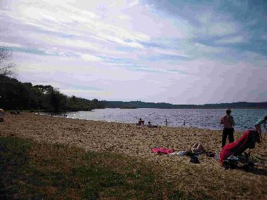 Maison de vacances �/en/au Saint Barth�lemy (Landes)ou appartement ou maison de vacances