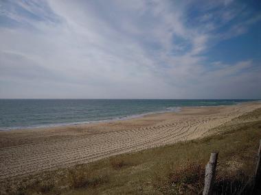 Maison de vacances �/en/au Saint Barth�lemy (Landes)ou appartement ou maison de vacances