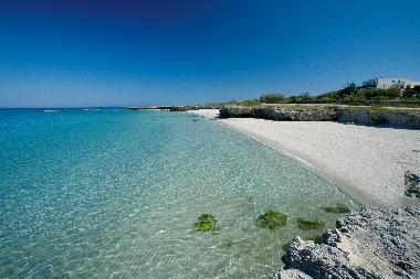 Maison de vacances /en/au ostuni (Brindisi)ou appartement ou maison de vacances