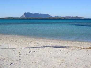 Maison de vacances �/en/au Tanaunella-budoni (Olbia-Tempio)ou appartement ou maison de vacances