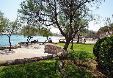 Appartement de vacances �/en/au Cala Millor (Mallorca)ou appartement ou maison de vacances