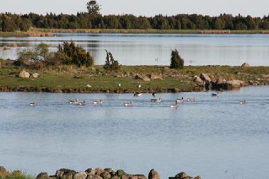 Appartement de vacances /en/au Sderkra (Smaland)ou appartement ou maison de vacances