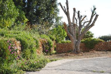 Maison de vacances �/en/au Moncarapacho (Algarve)ou appartement ou maison de vacances