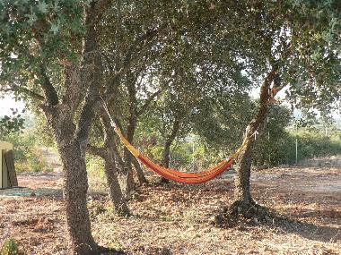 Maison de vacances �/en/au Moncarapacho (Algarve)ou appartement ou maison de vacances