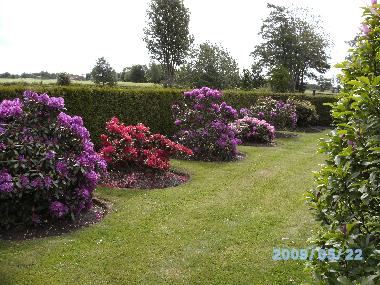 Appartement de vacances �/en/au Grossheide (Nordsee-Festland / Ostfriesland)ou appartement ou maison de vacances