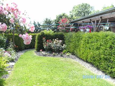 Appartement de vacances �/en/au Grossheide (Nordsee-Festland / Ostfriesland)ou appartement ou maison de vacances
