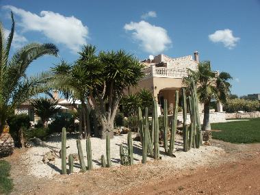Maison de vacances /en/au Colonia de Sant Jordi (Mallorca)ou appartement ou maison de vacances
