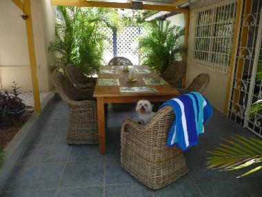 Appartement de vacances �/en/au Willemstad (Curacao)ou appartement ou maison de vacances