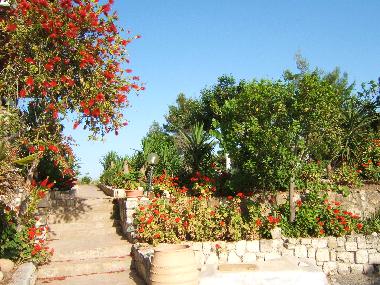 Maison de vacances /en/au Hanioti (Chalkidiki)ou appartement ou maison de vacances