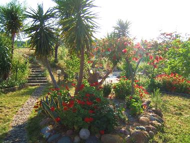 Maison de vacances /en/au Hanioti (Chalkidiki)ou appartement ou maison de vacances