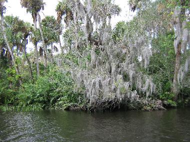 Maison de vacances �/en/au Fort Pierce FL (Florida)ou appartement ou maison de vacances