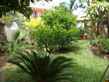 Maison de vacances �/en/au Pointe aux Canonniers (Grand Baie)ou appartement ou maison de vacances