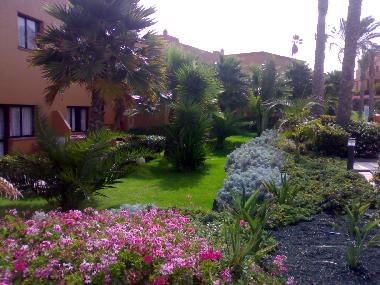 Appartement de vacances �/en/au Corralejo (Fuerteventura)ou appartement ou maison de vacances