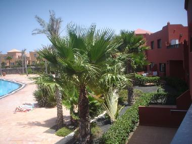 Appartement de vacances �/en/au Corralejo (Fuerteventura)ou appartement ou maison de vacances