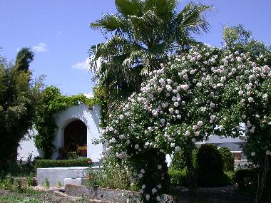 Chambre avec petit djeuner /en/au Monsaraz (Alto Alentejo)ou appartement ou maison de vacances