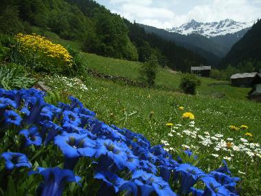 Appartement de vacances /en/au Silbertal (Bludenz-Bregenzer Wald)ou appartement ou maison de vacances