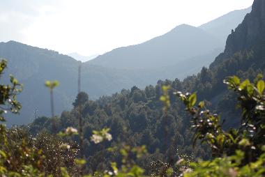 View of the valley
