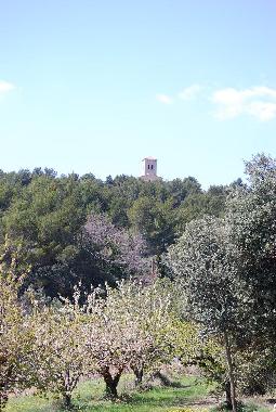 Maison de vacances �/en/au Le Barroux (Vaucluse)ou appartement ou maison de vacances