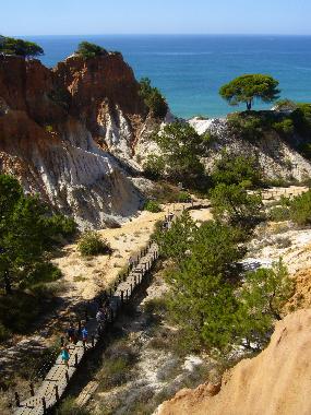 Appartement de vacances �/en/au Albufeira / Vila Moura (Algarve)ou appartement ou maison de vacances