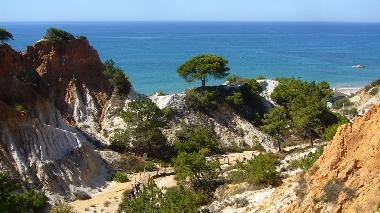 Appartement de vacances �/en/au Albufeira / Vila Moura (Algarve)ou appartement ou maison de vacances